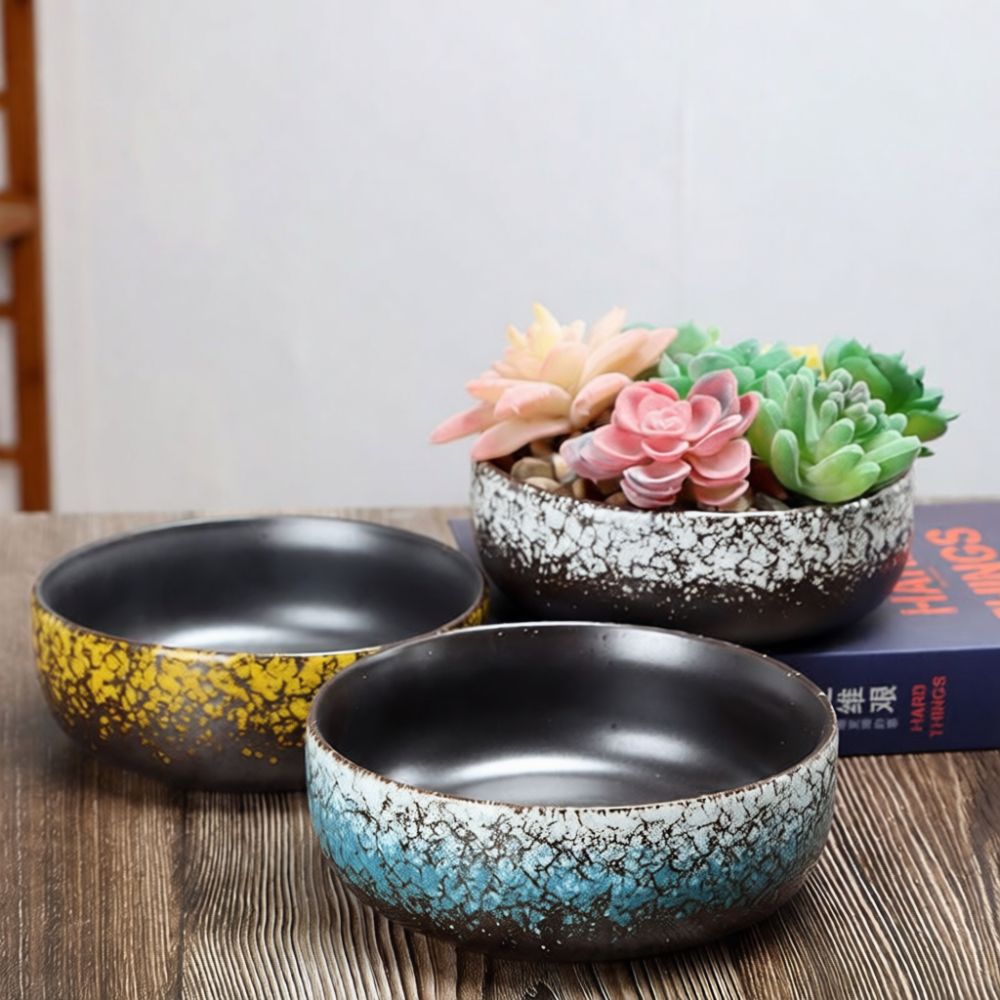 Großer Keramik-Sukkulententopf – Bonsai Garden Art Bewertung und Preis
