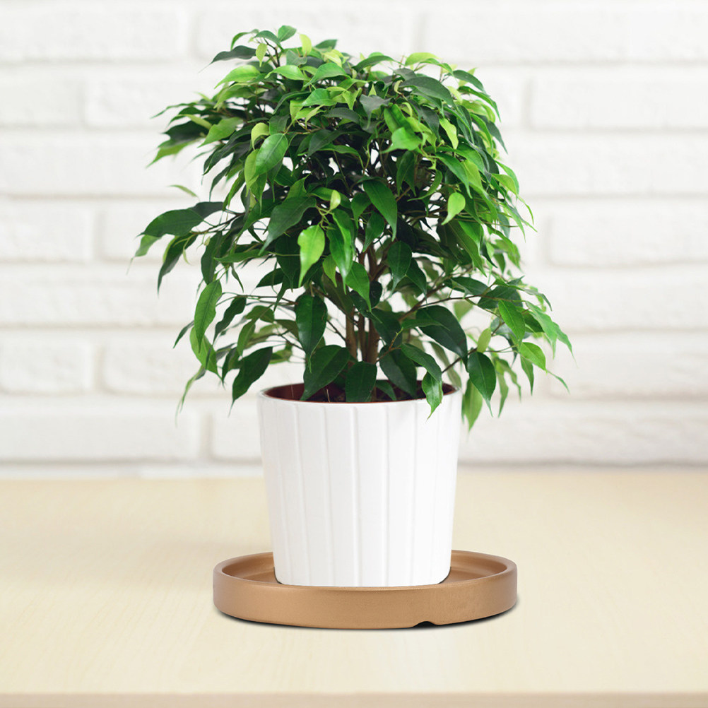 3 Stück Blumentopf-Untersetzer – Drip Tray Saucer Bewertung und Preis