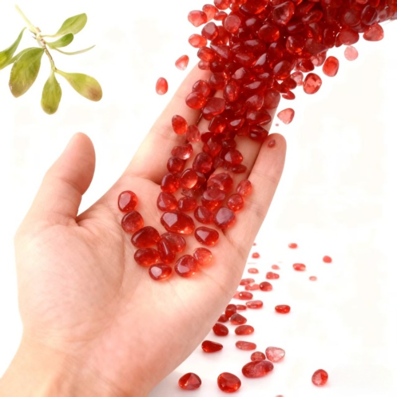 100g/200g hochwertige rote Mos – Bonsai Garden Landscape Design Bewertung und Preis