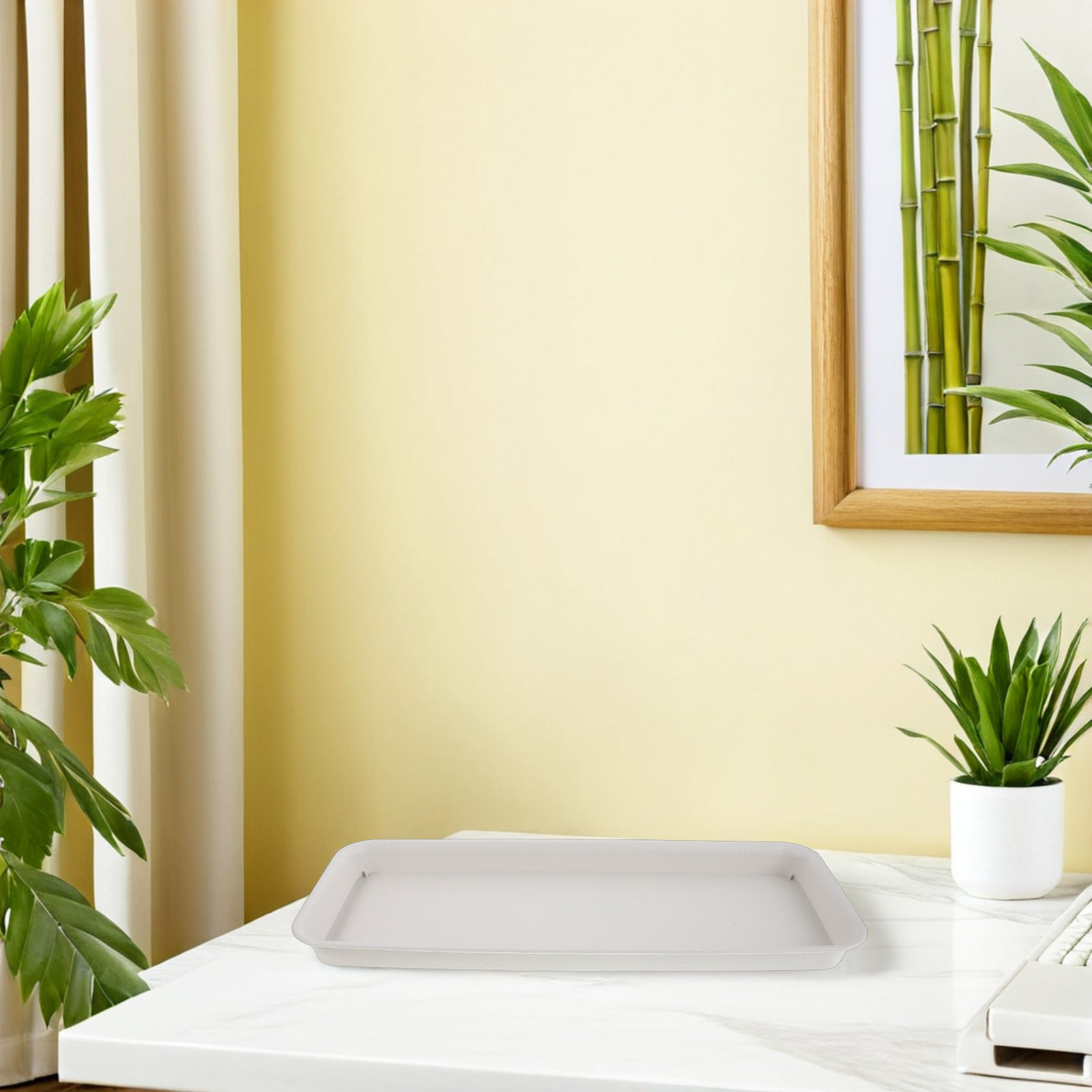 Blumentopf-Tropfschale für Zim – Drip Tray Saucer Bewertung und Preis