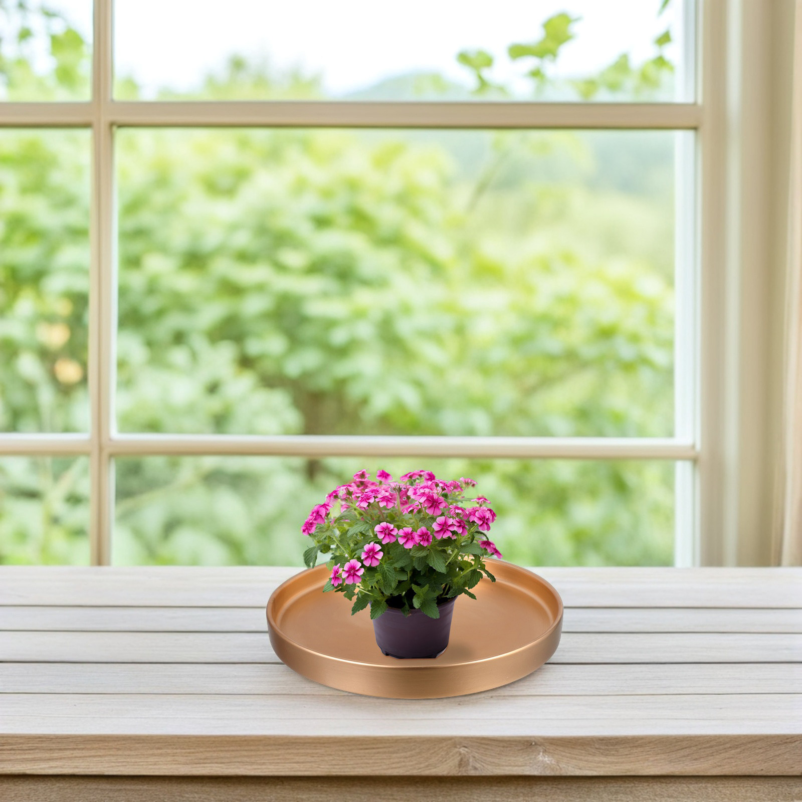 Premium Große Runde Keramik-Un – Drip Tray Saucer Bewertung und Preis