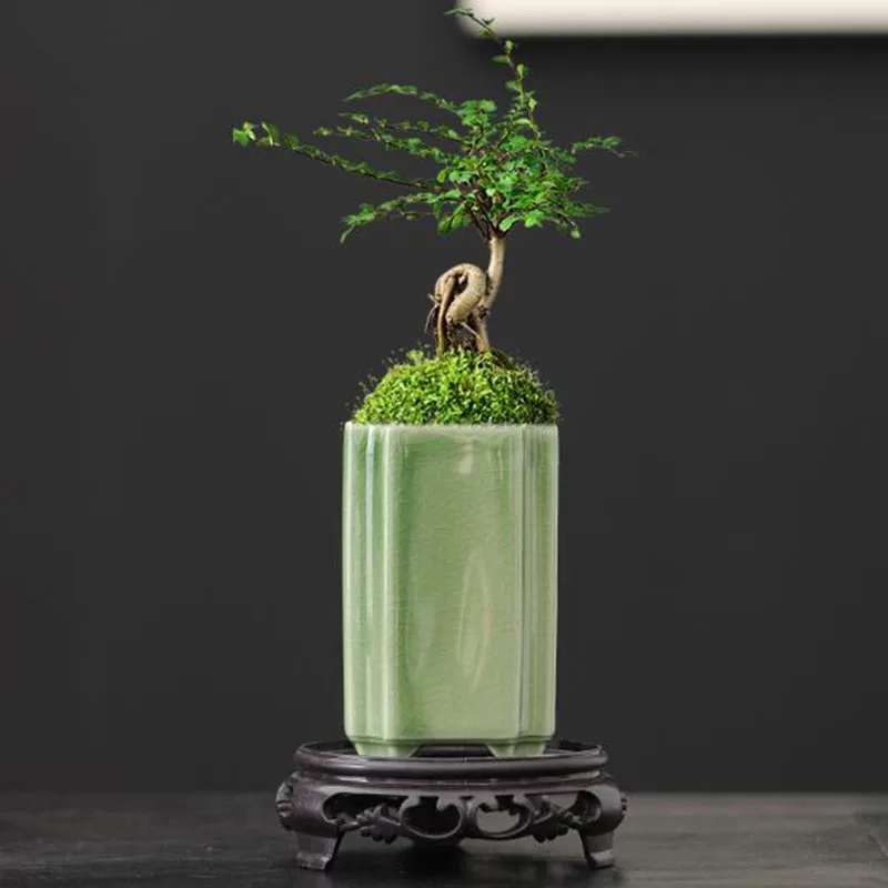 Quadratischer Porzellan-Blumen – Bonsai Garden Art Bewertung und Preis